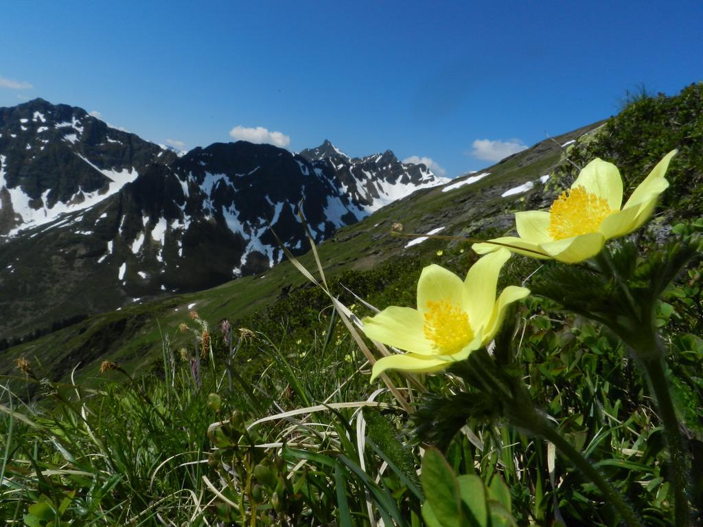 Alpasella Ferienwohnungen Sankt Gallenkirch Esterno foto